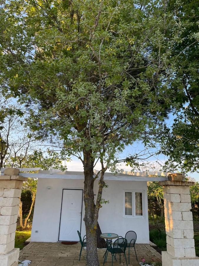 Agriturismo Tenuta La Monaca Aradeo Luaran gambar