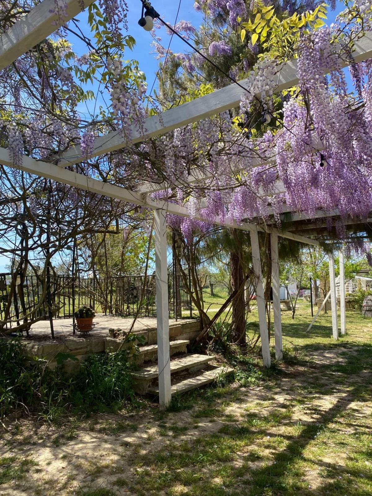 Agriturismo Tenuta La Monaca Aradeo Luaran gambar